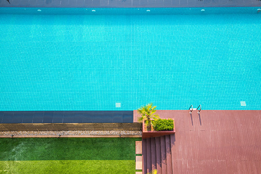 Clean Pool in Florida Constructed by Company Right After Getting Swimming Pool Contractors License
